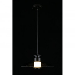 Подвесной светильник APLOYT APL.648.06.10