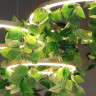 Люстра на штанге Kink Light 08223,33TREE(3000K)