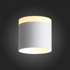 Накладной светильник ST-Luce ST102.502.09