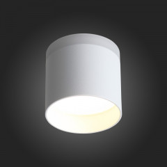 Накладной светильник ST-Luce ST102.502.09