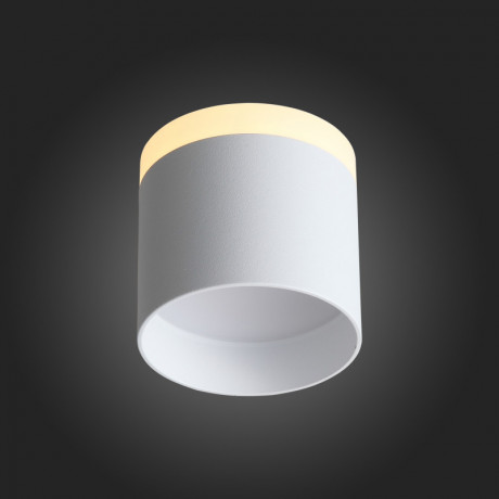 Накладной светильник ST-Luce ST102.502.09