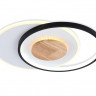 Накладной светильник Ambrella Light FL4789