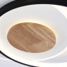 Накладной светильник Ambrella Light FL4789
