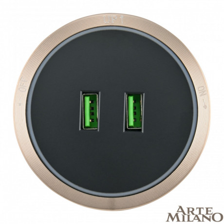 Трековая система розеток Arte Milano 380066TS LED/USBx2 Gold