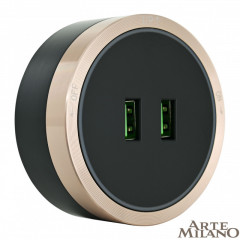 Трековая система розеток Arte Milano 380066TS LED/USBx2 Gold
