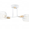 Накладной светильник Ambrella Light TR80161