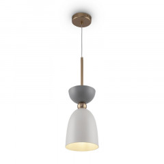 Подвесной светильник Maytoni MOD113PL-01W