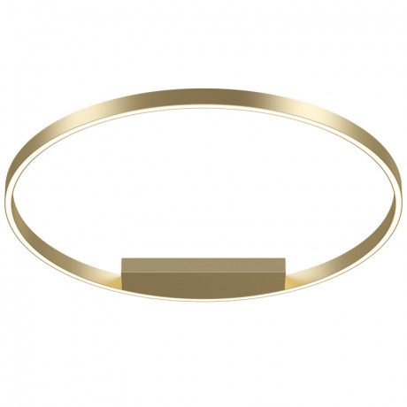 Накладной светильник Maytoni MOD058CL-L50BSK