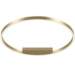 Накладной светильник Maytoni MOD058CL-L50BSK