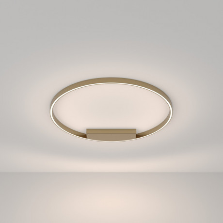 Накладной светильник Maytoni MOD058CL-L50BSK