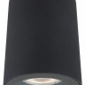 Влагозащищенный светильник Denkirs DK3007-BK