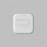 WI-FI конвертер Denkirs DK7400-WF
