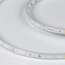 Лента DesignLed DSG360-24-WW-65