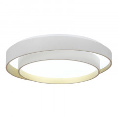 Накладной светильник Evoluce SLE6009-502-01