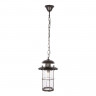 Подвесной уличный светильник LOFT IT 100015P