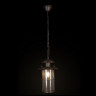 Подвесной уличный светильник LOFT IT 100015P