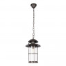 Подвесной уличный светильник LOFT IT 100015P