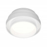 Накладной светильник Ambrella Light TN601