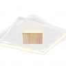 Накладной светильник Ambrella Light FL4790