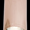 Накладной светильник Maytoni Technical C010CL-01RG