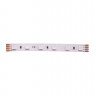 Лента DesignLed DSG560-24-RGB-33