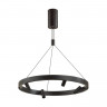 Подвесная люстра Odeon Light 6683/77L