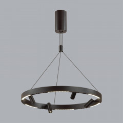 Подвесная люстра Odeon Light 6683/77L