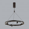 Подвесная люстра Odeon Light 6683/77L