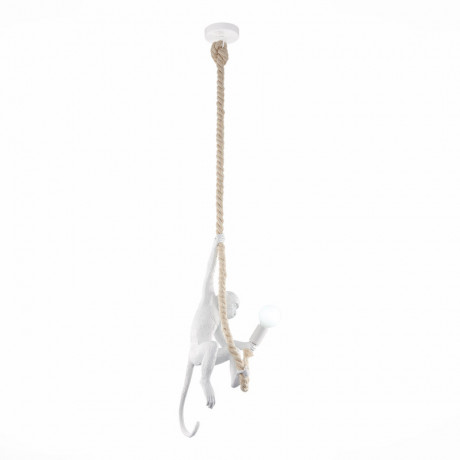 Потолочный детский светильник Evoluce SLE115103-01