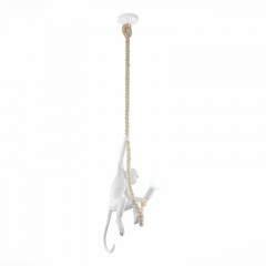 Потолочный детский светильник Evoluce SLE115103-01