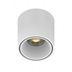 Светильник на шине APLOYT APL.0109.10.06