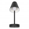 Бра LOFT IT 10216/1W Black