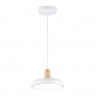 Подвесной светильник Ambrella Light FL4838