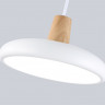 Подвесной светильник Ambrella Light FL4838