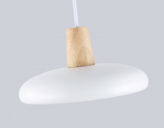 Подвесной светильник Ambrella Light FL4838