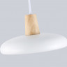 Подвесной светильник Ambrella Light FL4838