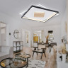 Накладной светильник Ambrella Light FL4791