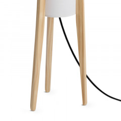 Торшер Freya FR5543FL-01T