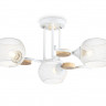 Накладной светильник Ambrella Light TR80163