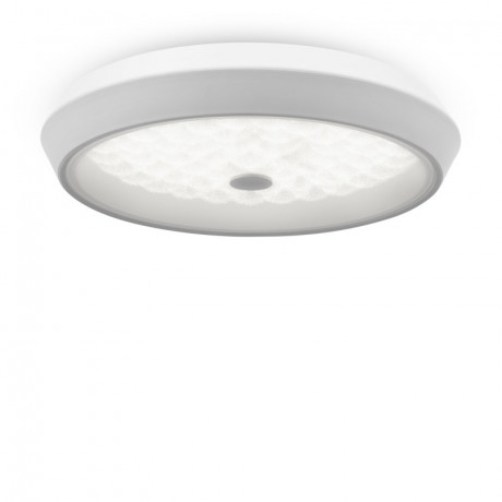 Накладной светильник Freya FR10012CL-L24W