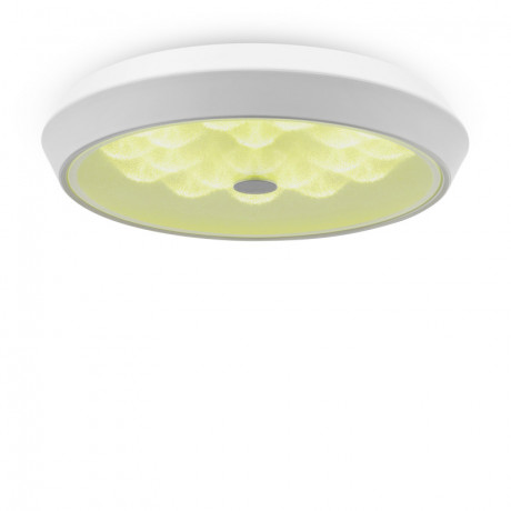 Накладной светильник Freya FR10012CL-L24W