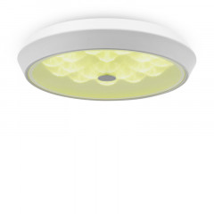 Накладной светильник Freya FR10012CL-L24W