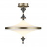 Накладной светильник Odeon Light 5404/43CL