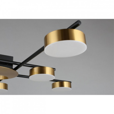 Накладная люстра APLOYT APL.042.07.56