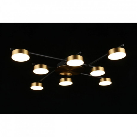 Накладная люстра APLOYT APL.042.07.56