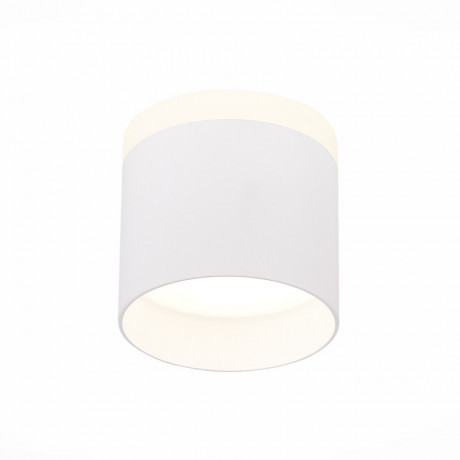 Накладной светильник ST-Luce ST102.542.09