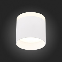 Накладной светильник ST-Luce ST102.542.09