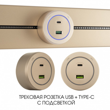 Трековая система розеток Arte Milano 399731TS/USB-Type-C Gold