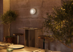 Бра Maytoni MOD435WL-01W