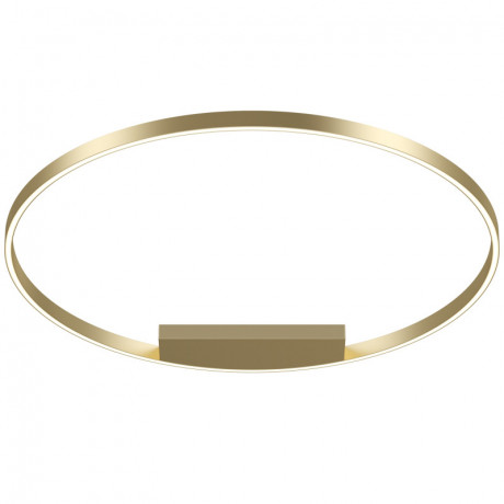 Накладной светильник Maytoni MOD058CL-L65BSK